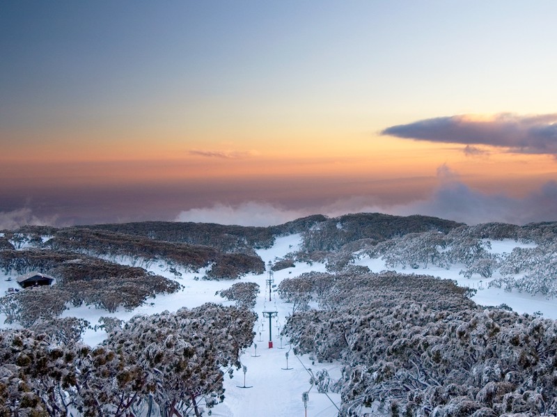 Case Study: How Mt Baw Baw Alpine Resort Transformed Visitor Communication With AI Convo