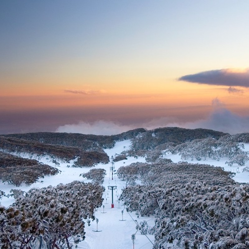 Case Study: How Mt Baw Baw Alpine Resort Transformed Visitor Communication