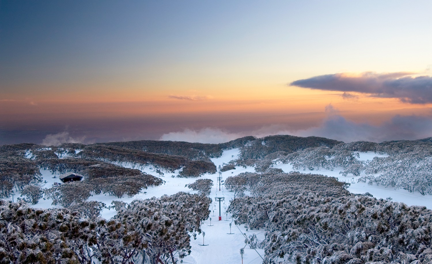 Case Study: How Mt Baw Baw Alpine Resort Transformed Visitor Communication With AI Convo